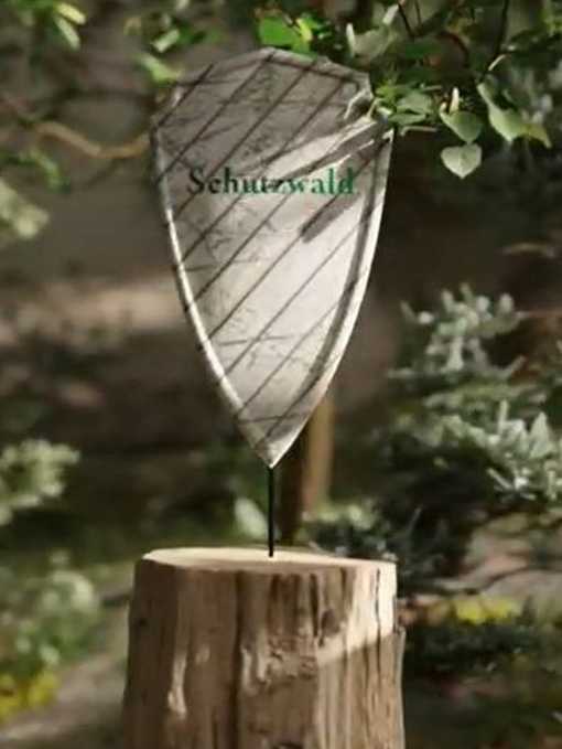 Der Schutzwald - Ein nachhaltig bewirtschafteter Wald schützt vor Naturgefahren