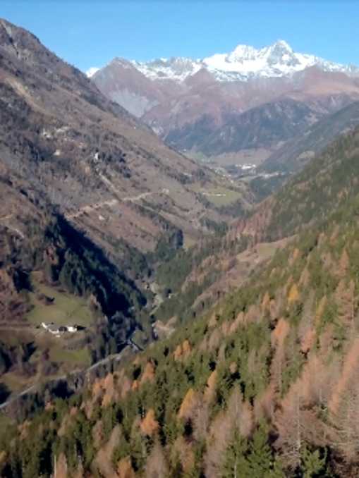 Aktionsprogramm Schutzwald - Wald schützt uns!