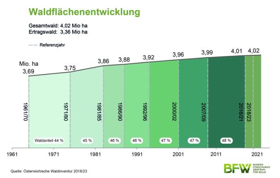 Waldflächenentwicklung