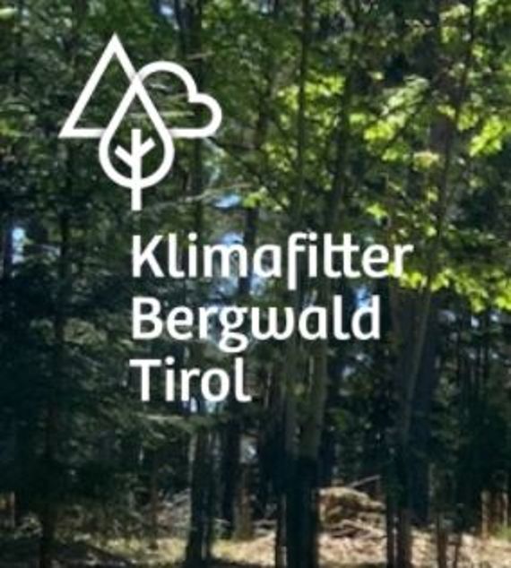 Initiative Klimafitter Bergwald Tirol